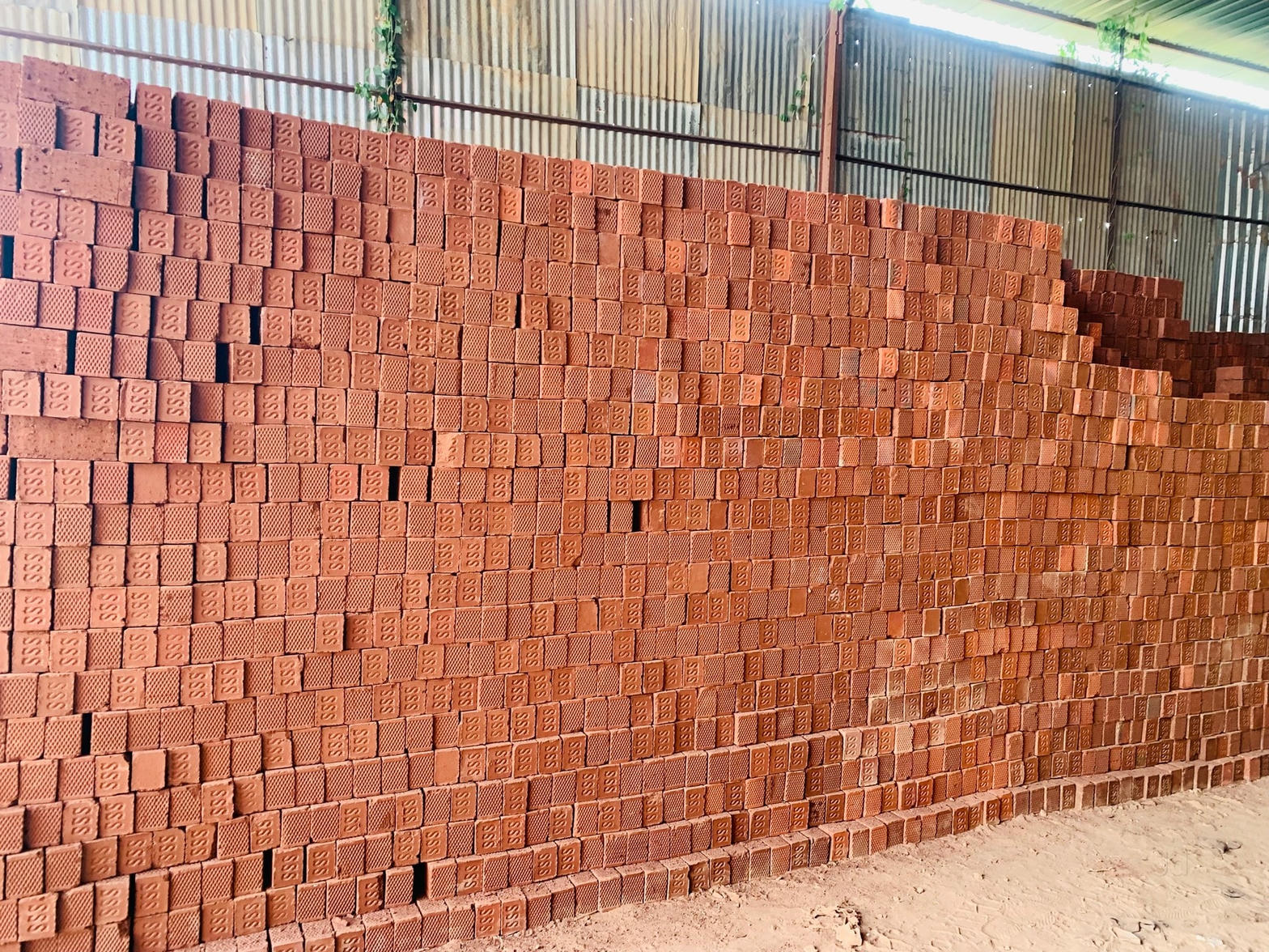 Wire-cut bricks